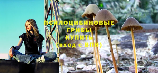 не бодяженный Алзамай