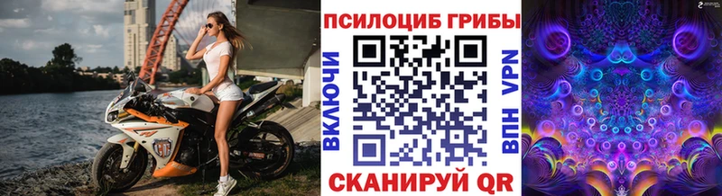 Галлюциногенные грибы GOLDEN TEACHER  Октябрьск 