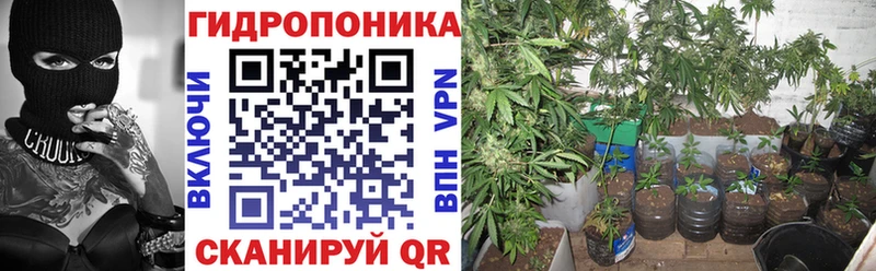 Бошки марихуана White Widow  наркота  Октябрьск 